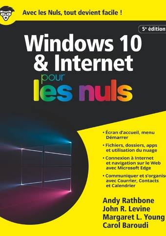 Windows 10 et Internet 5e pour les Nuls, grand format