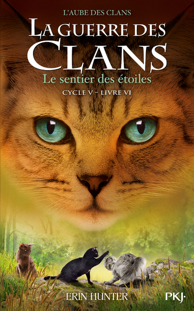 La guerre des Clans, Cycle V - tome 06 : Le sentier des étoiles