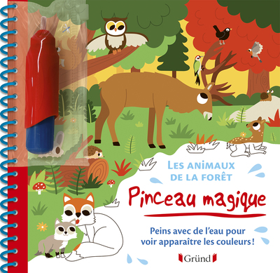 Pinceau magique : Les animaux de la forêt  Livre Coloriage magique à l'eau avec un pinceau  À partir de 3 ans